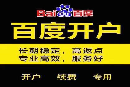 某SEM外包公司广告投放策略及效果评估
